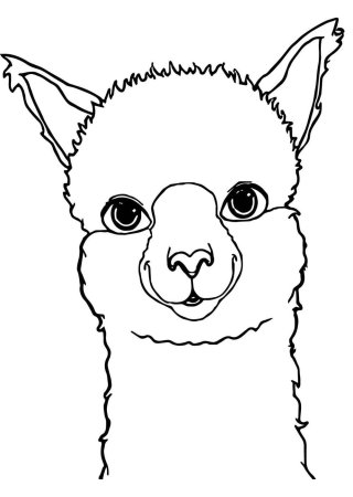 Нарисовать ламу