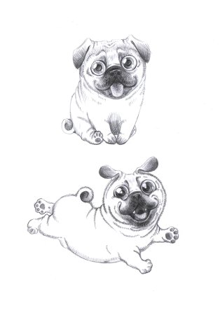 Нарисовать МОПСА