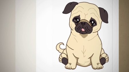 Мопс рисунок для срисовки