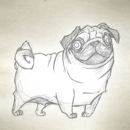 Рисование набросков мопсика