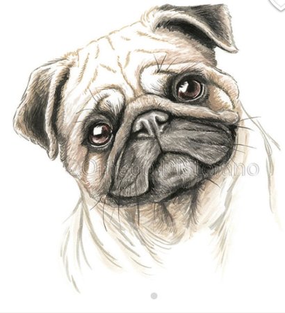 Мопсы карандашом для детей
