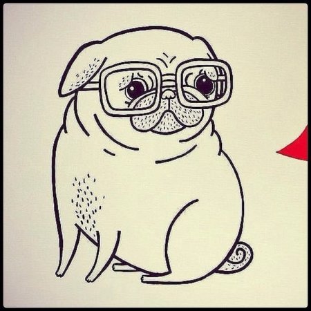 Мопс рисунок для срисовки