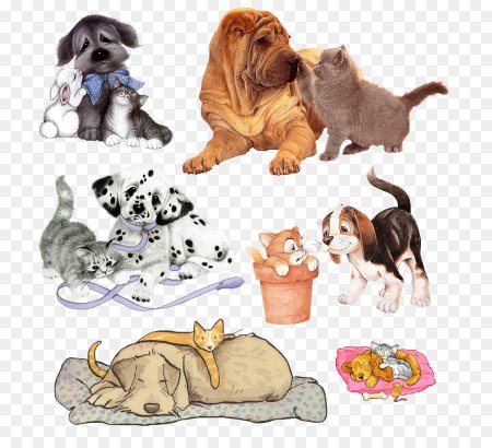 Кошечки собачки для детей