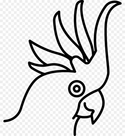 Какаду картина