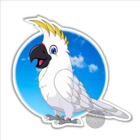 Попугай рисунок