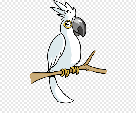 Какаду иллюстрация