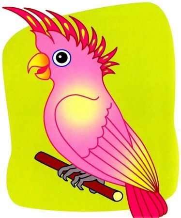 Попугай корелла акварель