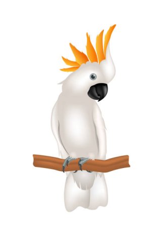 Какаду мультяшные