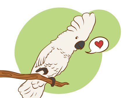 Какаду раскраска для детей