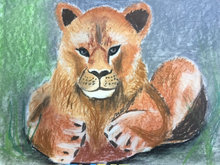 Львица рисунок для детей