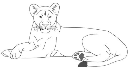 Король Лев лайны львиц