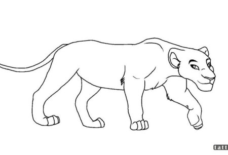 Герои Король Лев Нала