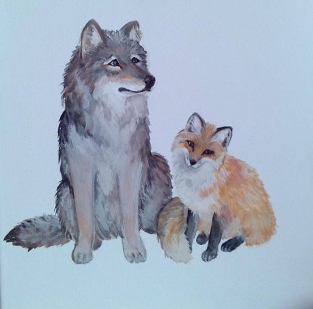 Лисы и волки
