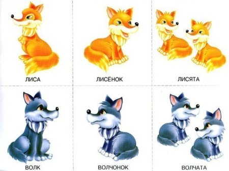 Детеныши диких животных для детей