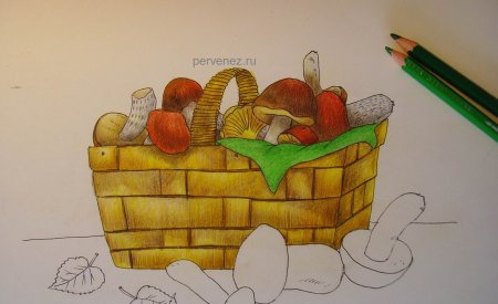 Корзинка с грибами рисунок