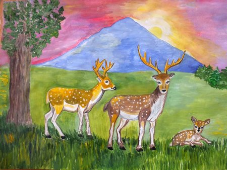 Рисунки природы