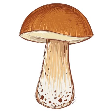 Рисуем грибы