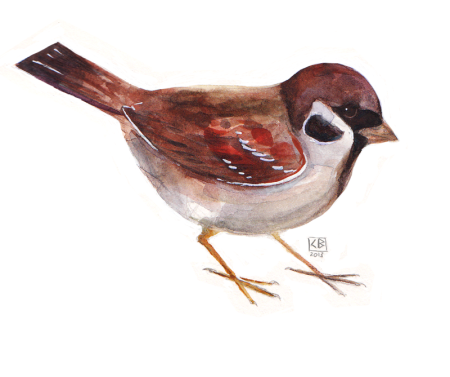 Воробей для детей