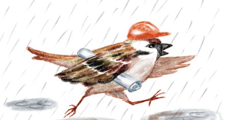 Воробей в шляпе