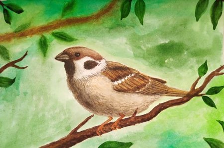 Воробей карандашом