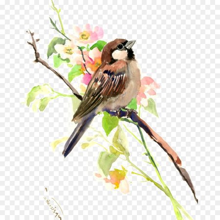 Весенние птицы на прозрачном фоне