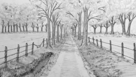 Рисунок парка