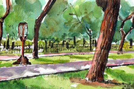 Городской пейзаж с деревьями