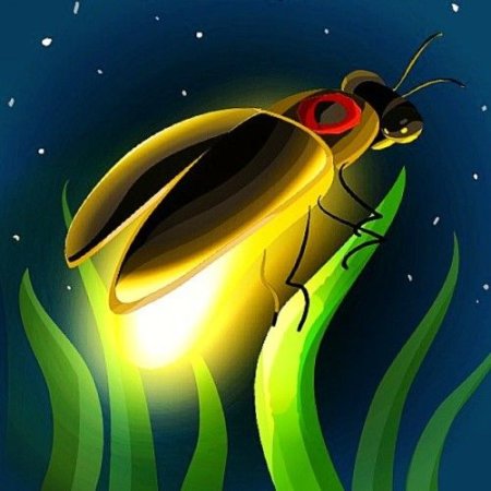 Светлячок раскраска