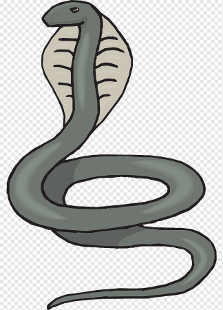 Змея раскраска для детей