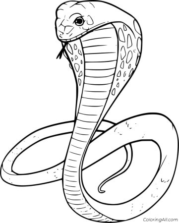 Изображение кобры