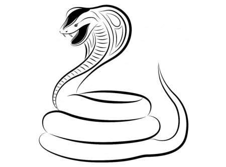 Кобра раскраска