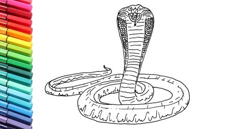 Змейка раскраска