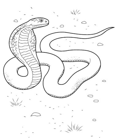 Змея для детей