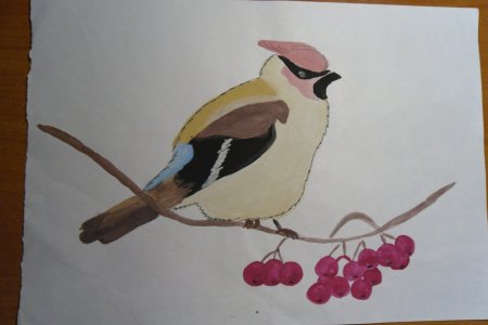 Свиристель аппликация