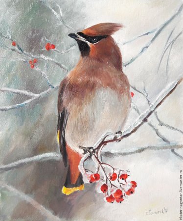 Свиристель акварелью