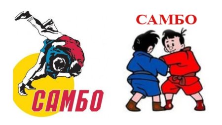 Рисунки самбо в школу