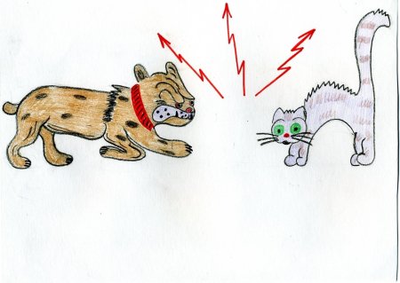 Рисунок на тему фразеологизмы