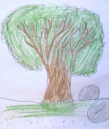 Разные деревья гуашью