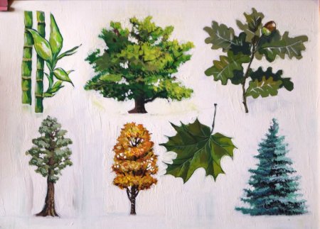 Деревья акварелью поэтапно