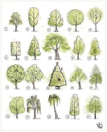 Детские рисунки деревьев разных (52 фото)