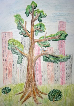 Дерево 4 сезона