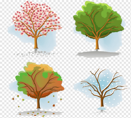 Деревья для рисования для детей