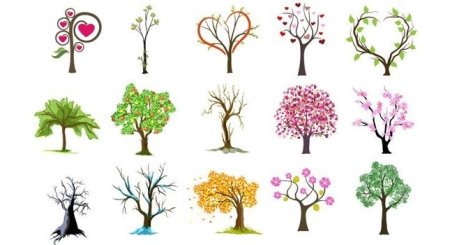 Этапы рисования дерева гуашью