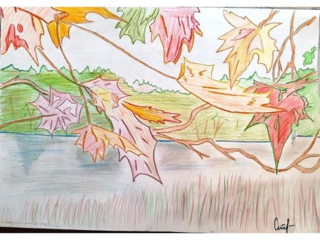 Рисование поздняя осень