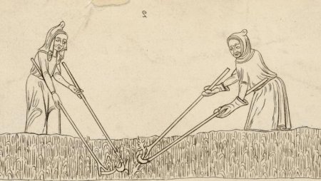 Рисунок жизни крестьянина в средние века