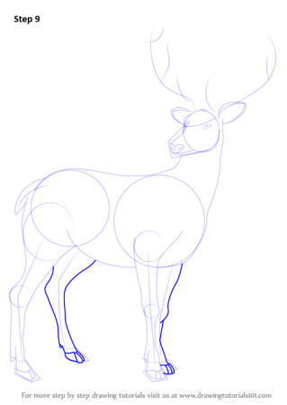 Пошаговое рисование оленя