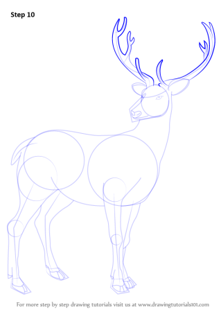 Схема рисования оленя