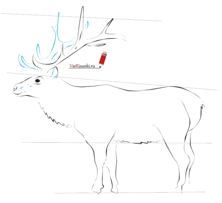 Пошаговое рисование оленя