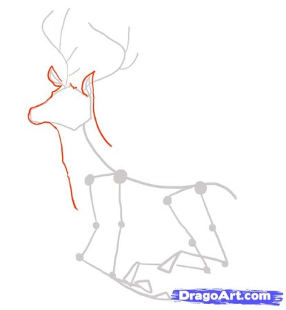 Поэтапное рисование оленя для детей