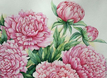 Пион 0103 Kirova-pion-0103